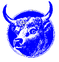 Toro