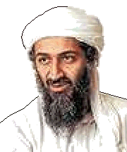 Bin Laden..., cxu kulpa?