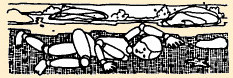 pupino