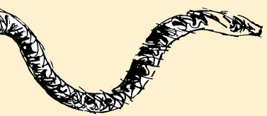Serpento
