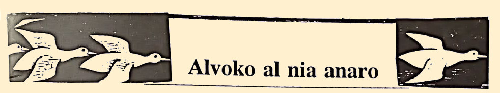 Alvoko al nia anaro