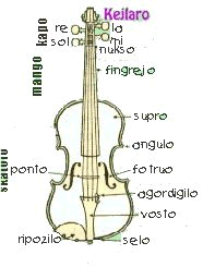 Jen la violono kaj siaj partoj.