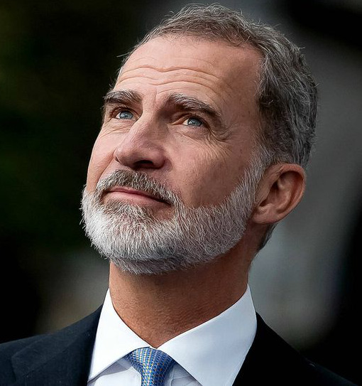 Felipe 6ª, Reĝo de Hispanio.