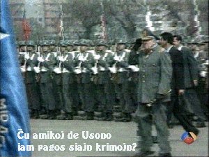 Krimulo kontraux homaro senpuna vivante en lando de Blair.